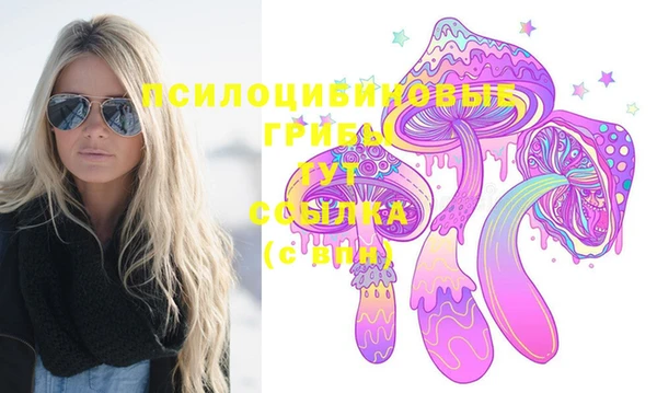 spice Аркадак