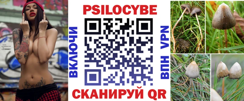 Псилоцибиновые грибы Cubensis  Купить где  Семилуки 